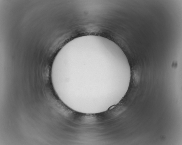 X0000110770668200907061120