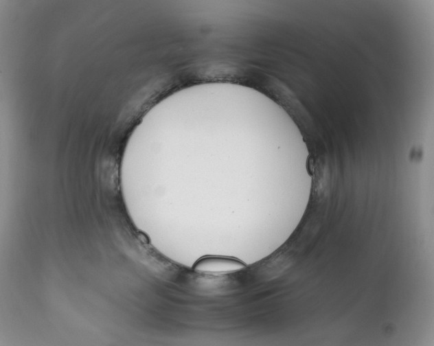 X0000110770669200907061120