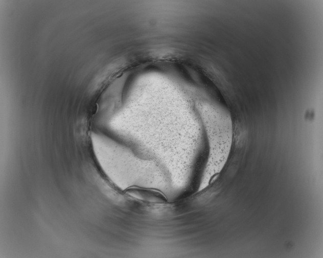 X0000110770670200907061120