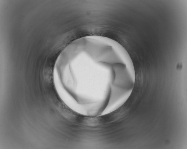 X0000110770671200907061120