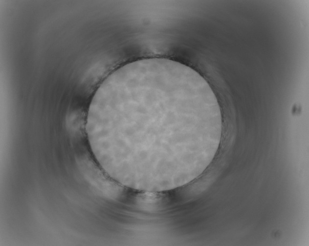 X0000110770672200907061120