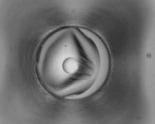 X0000110770673200907061119