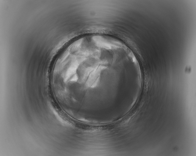 X0000110770674200907061119