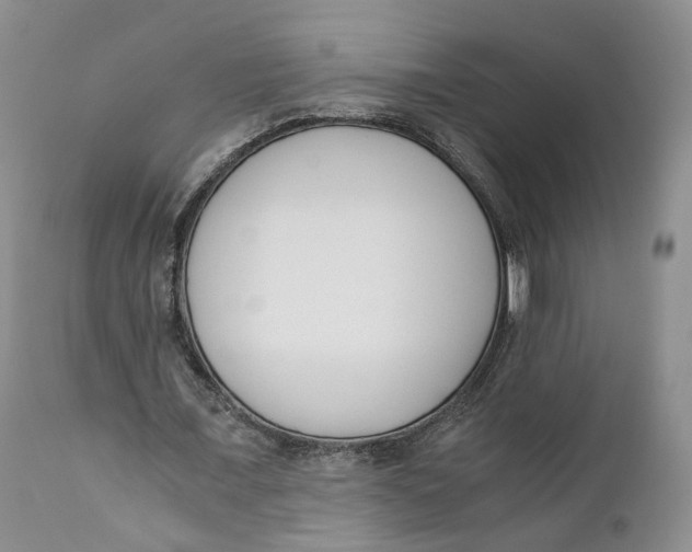 X0000110770675200907061119