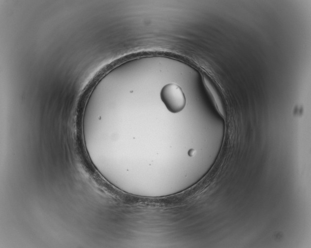 X0000110770676200907061119