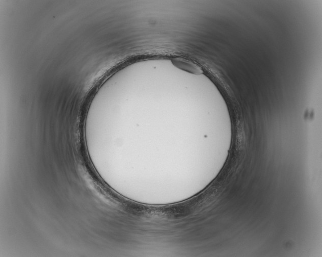 X0000110770677200907061119