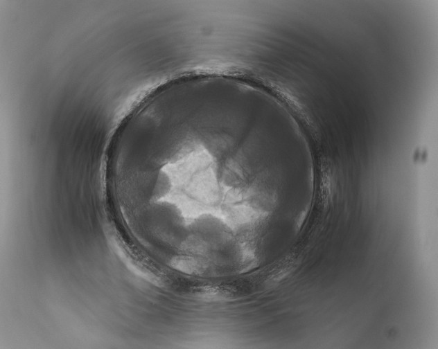 X0000110770678200907061119