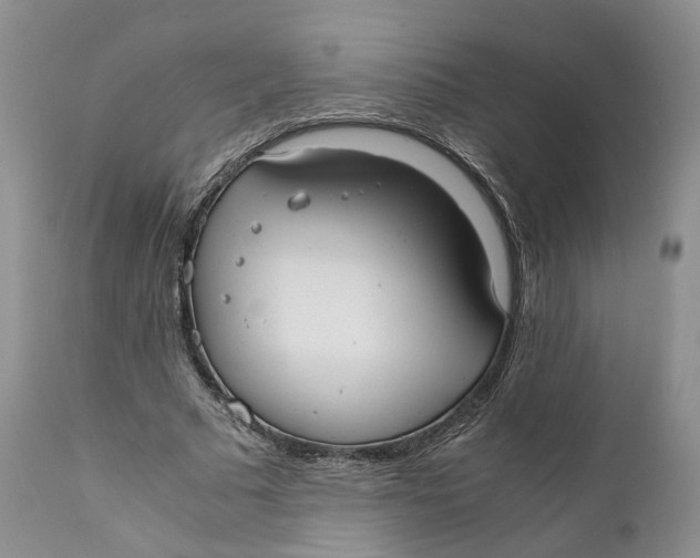 X0000110770681200907061119