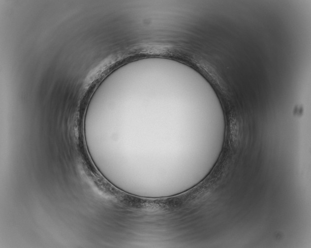 X0000110770682200907061119