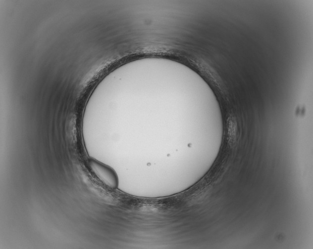 X0000110770684200907061119