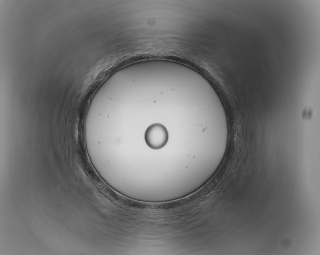 X0000110770685200907061119