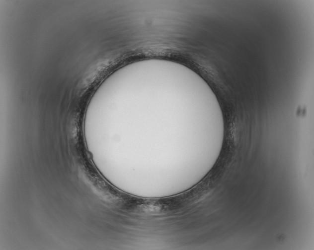 X0000110770687200907061119