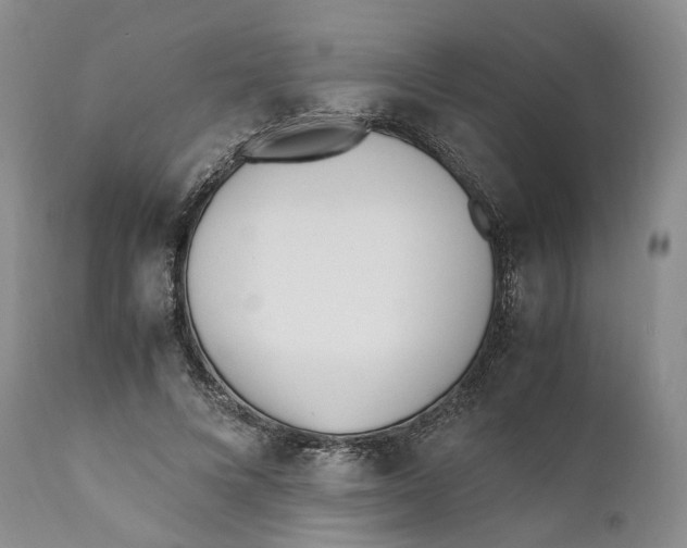 X0000110770688200907061119