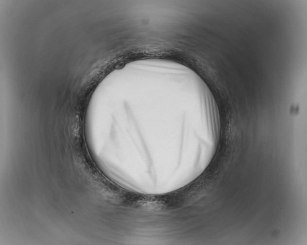 X0000110770689200907061119