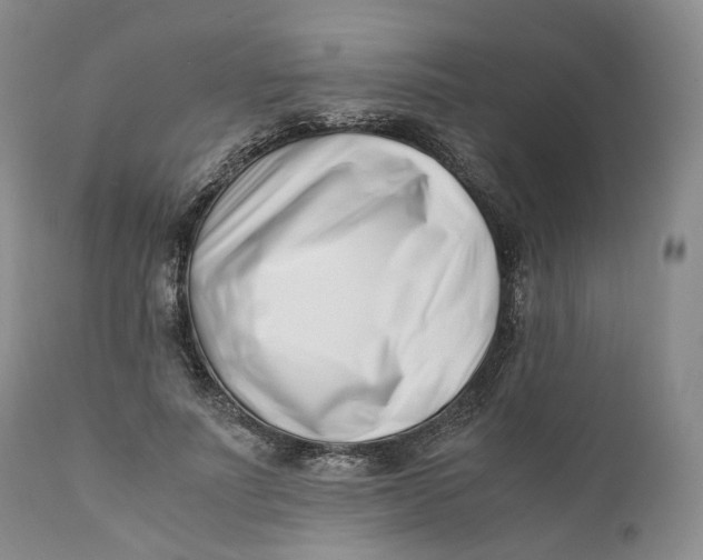 X0000110770691200907061119