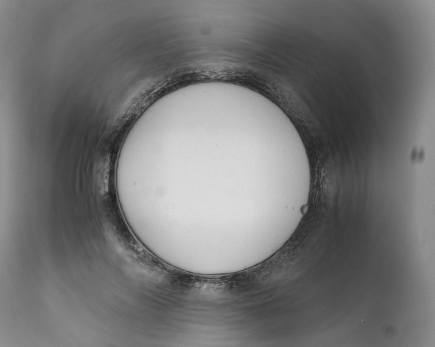 X0000110770694200907061119