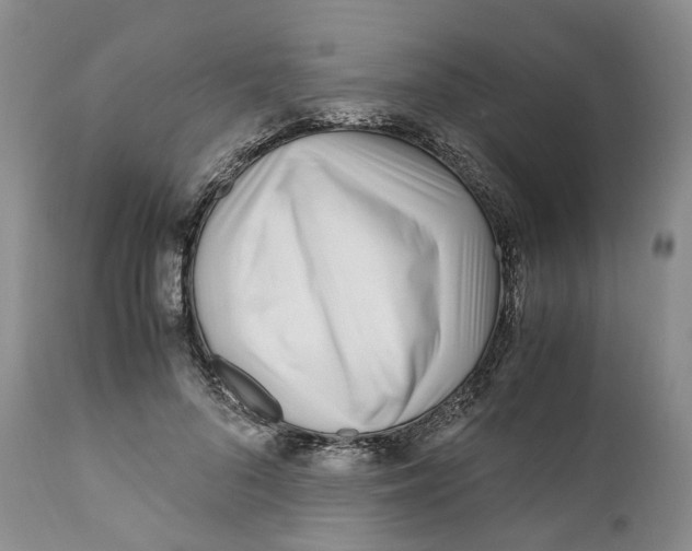 X0000110770696200907061119