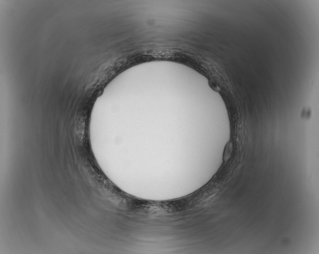 X0000110770697200907061119