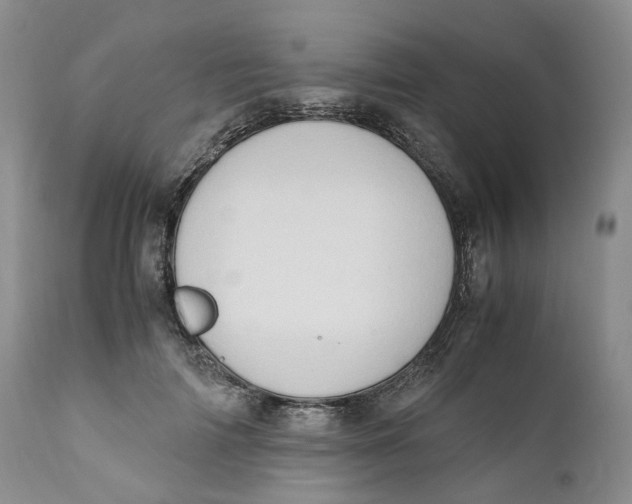 X0000110770698200907061119