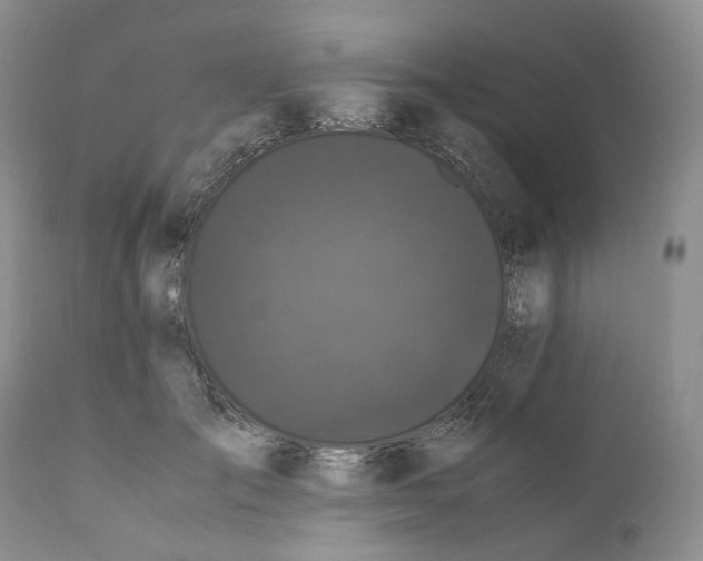 X0000110770701200907061119