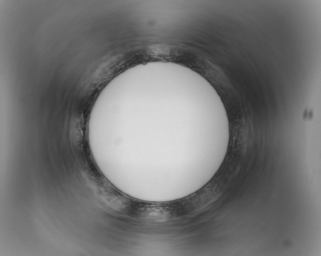 X0000110770702200907061119