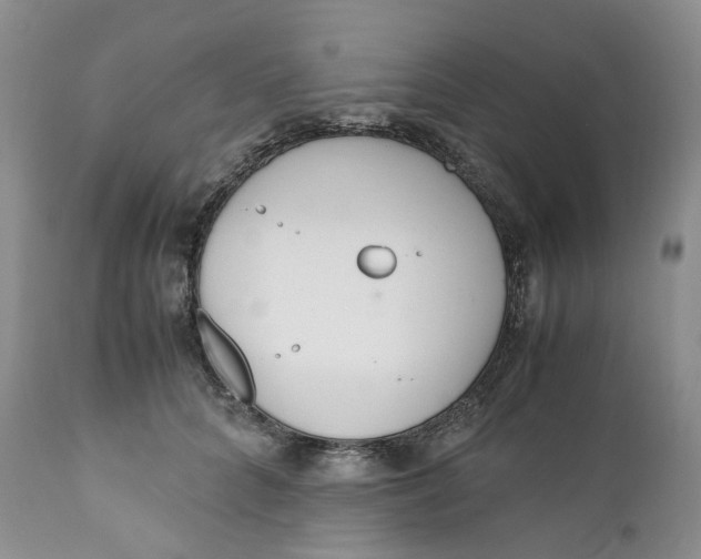 X0000110770704200907061119