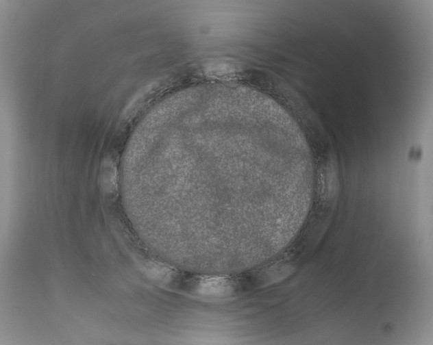 X0000110770705200907061119