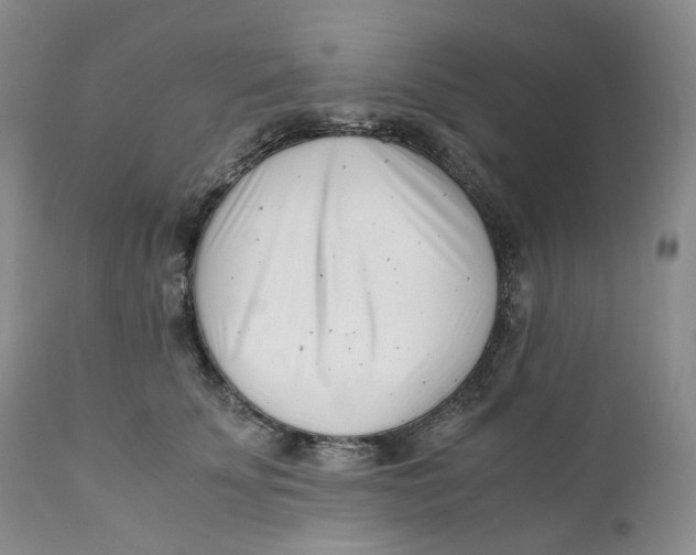 X0000110770707200907061119