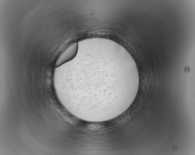 X0000110770708200907061119