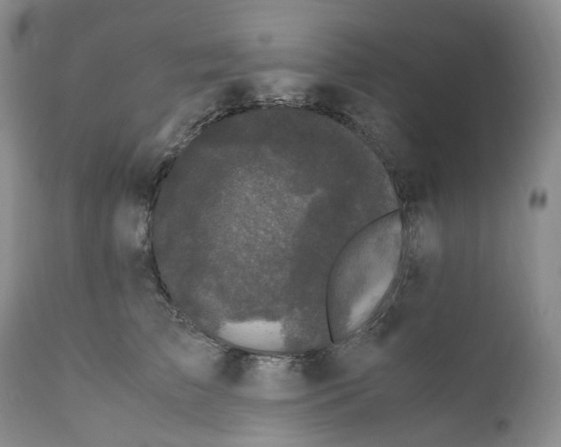 X0000110770709200907061119