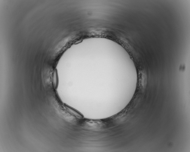 X0000110770712200907061119