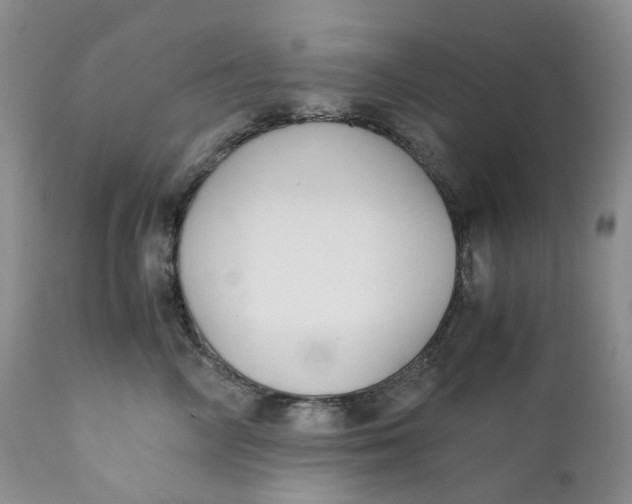 X0000110770714200907061119