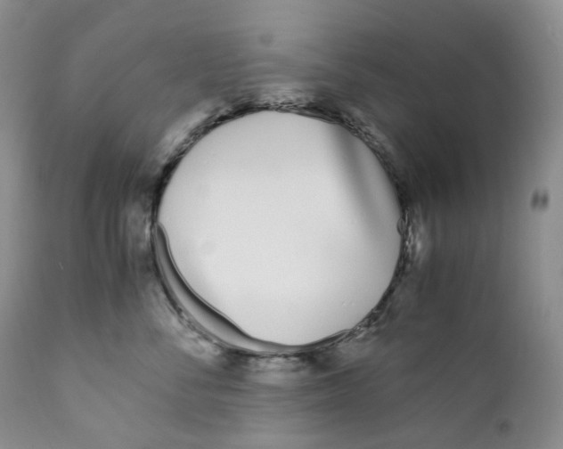 X0000110770716200907061119