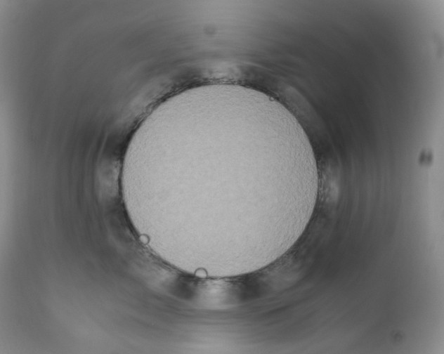 X0000110770717200907061119