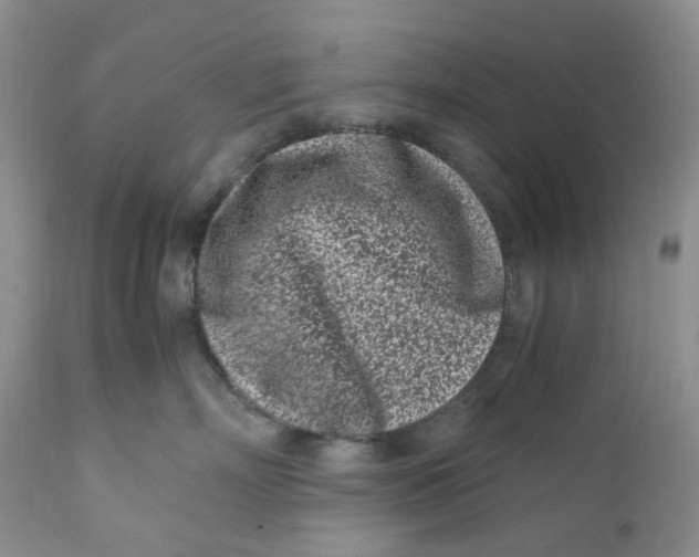 X0000110770718200907061119