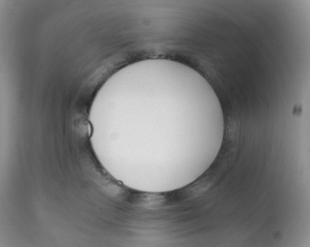 X0000110770719200907061119