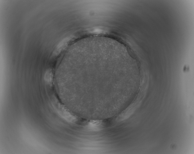 X0000110770720200907061119