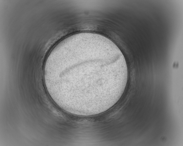 X0000110770721200907061118