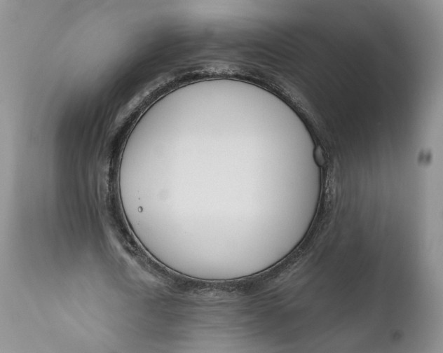 X0000110770722200907061118