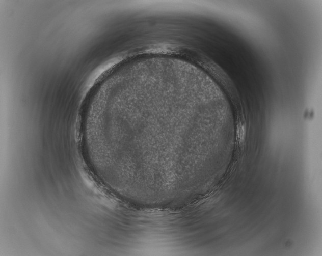 X0000110770724200907061118