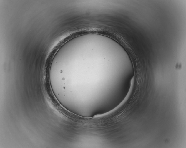 X0000110770726200907061118