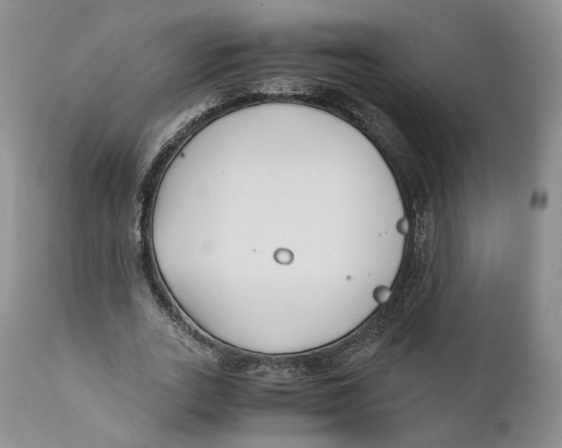 X0000110770727200907061118