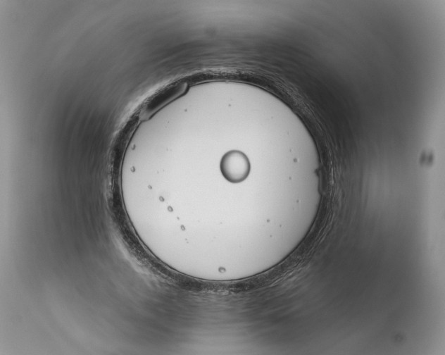 X0000110770728200907061118