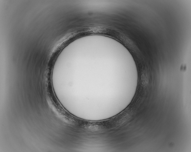 X0000110770730200907061118