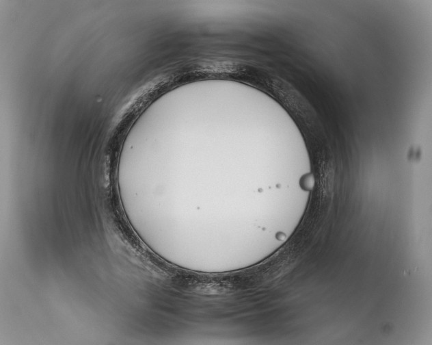 X0000110770731200907061118