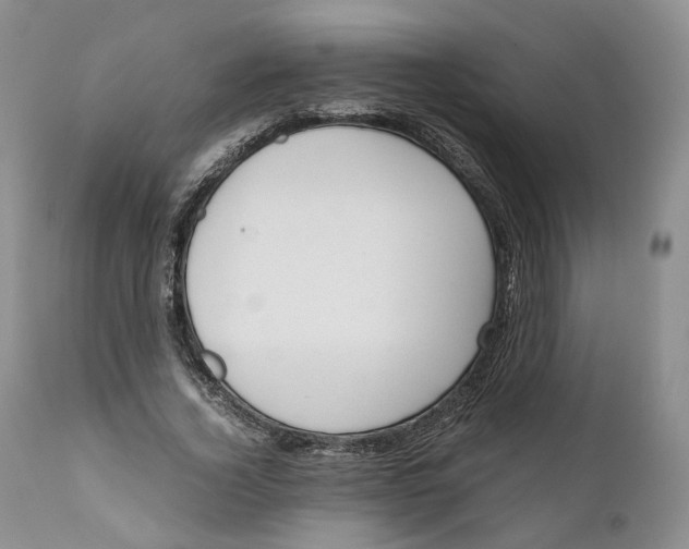 X0000110770732200907061118