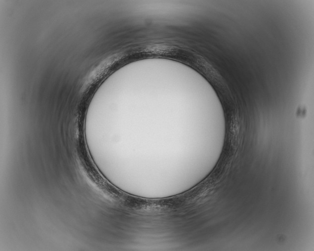 X0000110770734200907061118