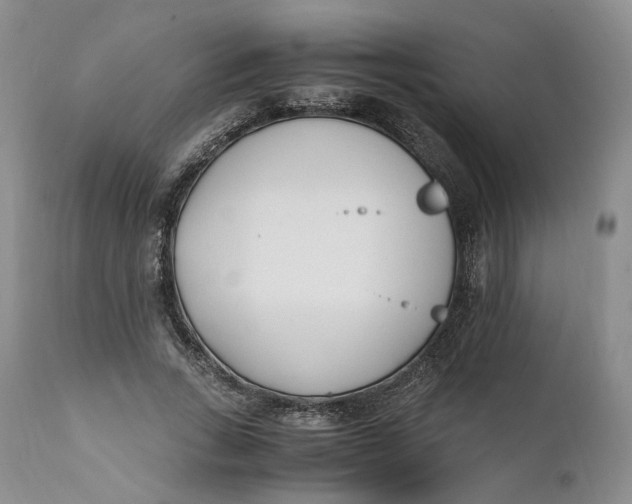 X0000110770735200907061118