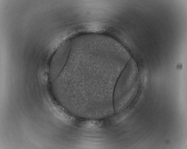 X0000110770736200907061118