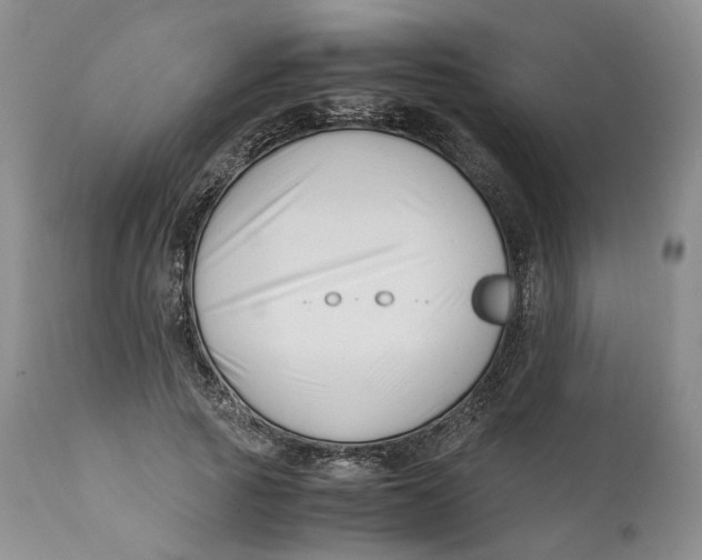 X0000110770737200907061118